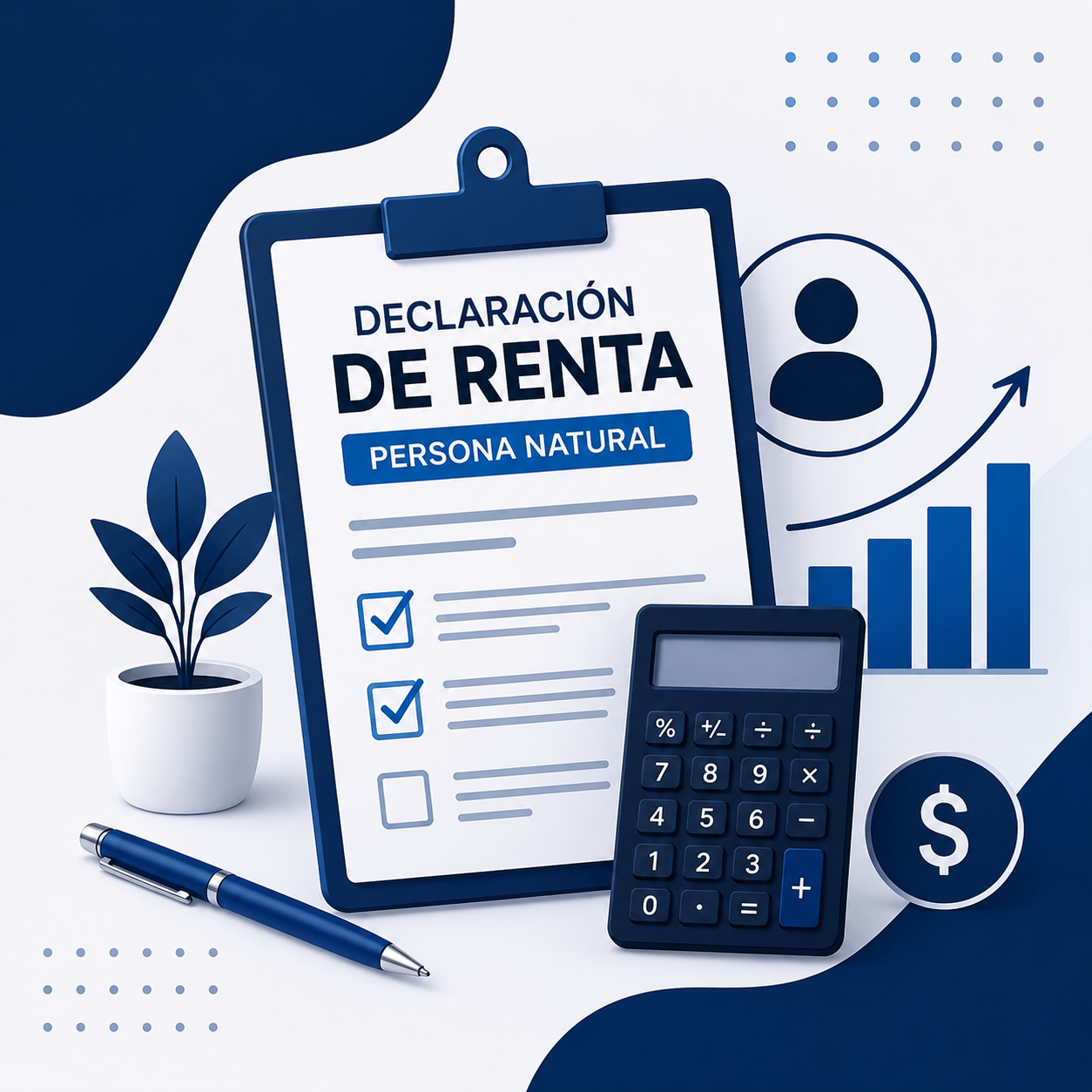 Declaración Renta Persona Natural